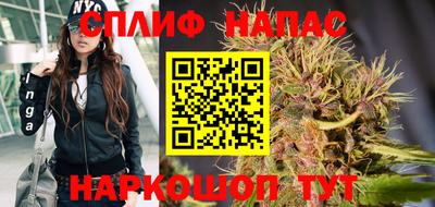 винт Тара